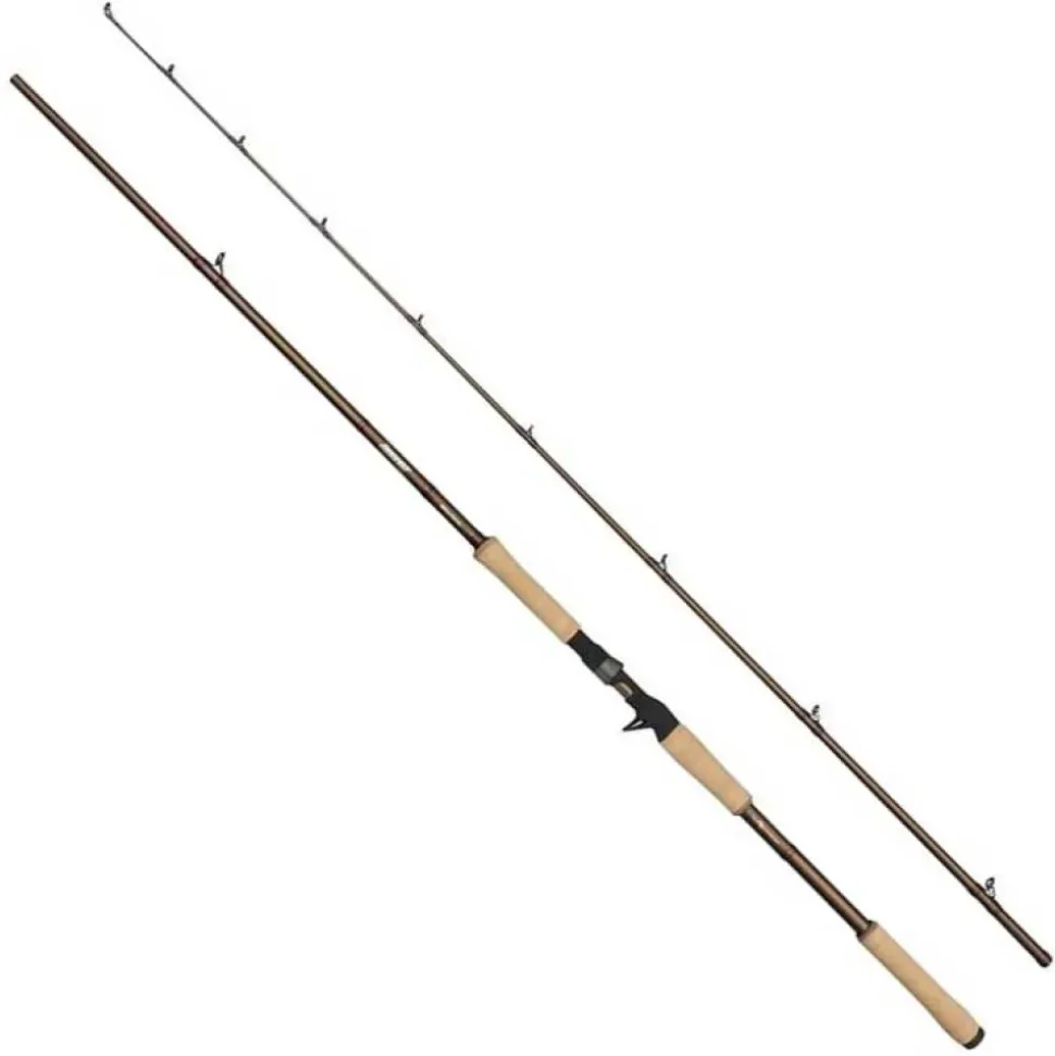 Abu Garcia Caña baitcasting Beast Pro2