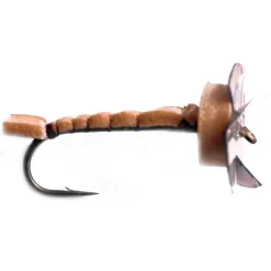 Baetis Mosca Criatura