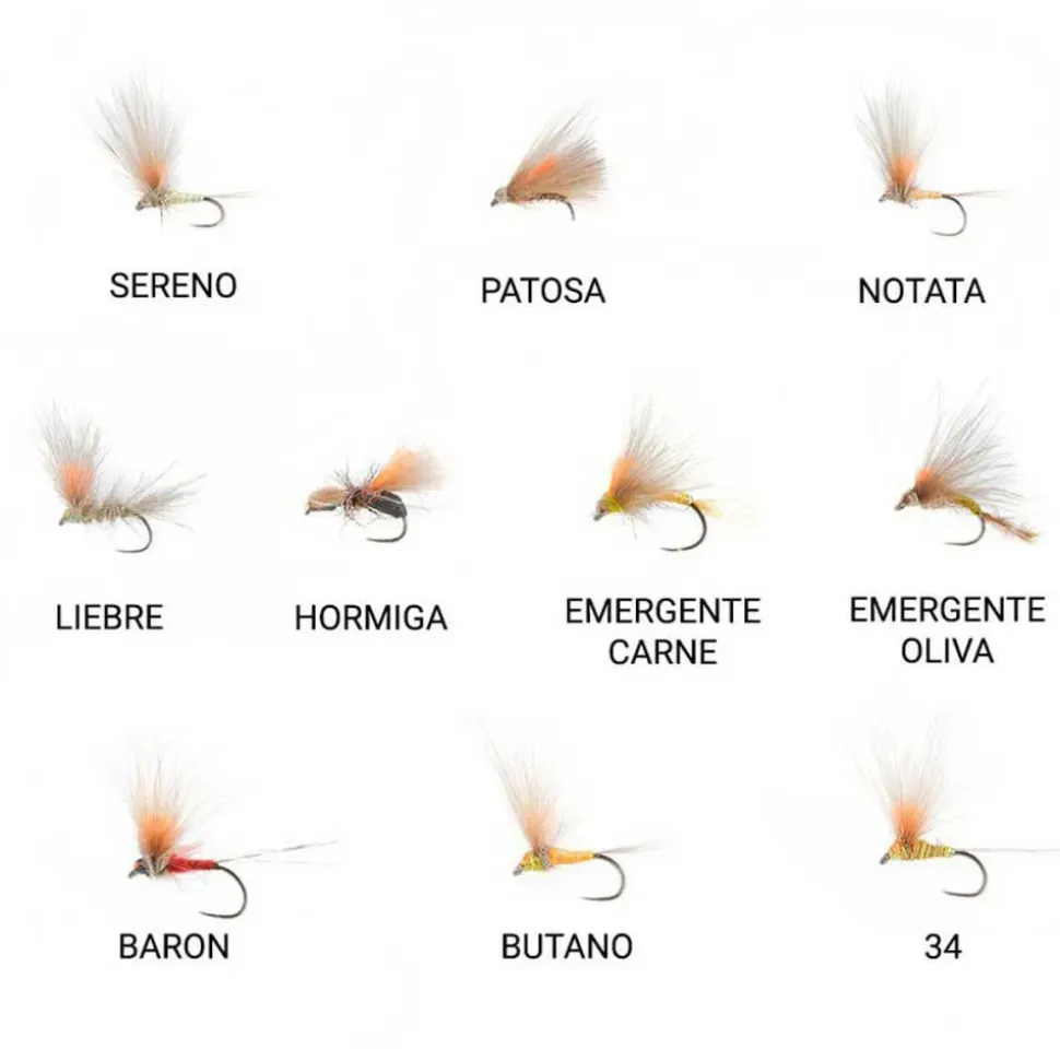 Baetis Mosca Quevedo