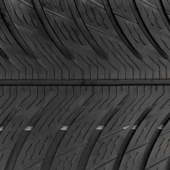 Baetis Plantillas V 1.0 Type