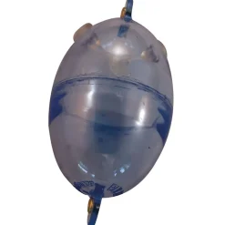 Buldo Buldo Ball Oval Perspex