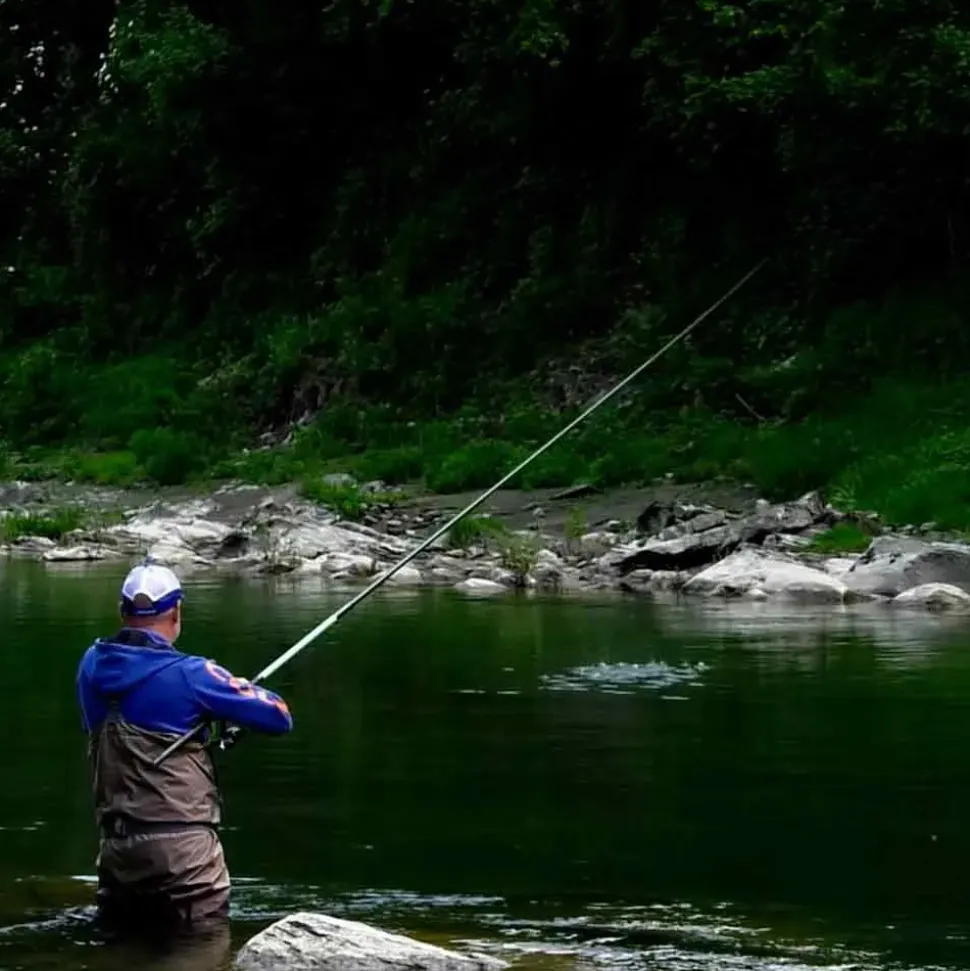 Colmic Caña boloñesa Fiume WR T6000