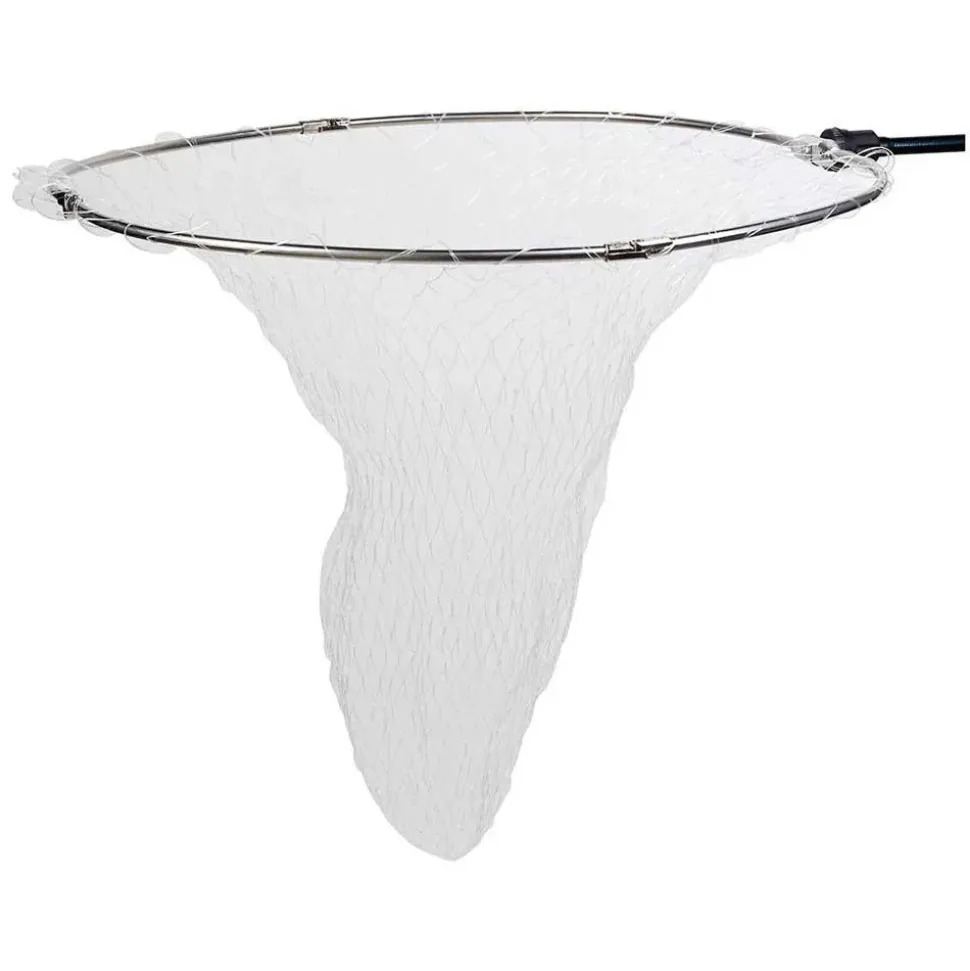 Daiwa Cabeza sacadera ISO