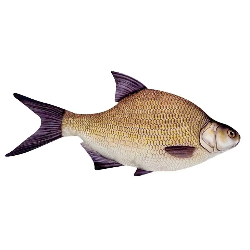 Energoteam Almohada Bream 74016473