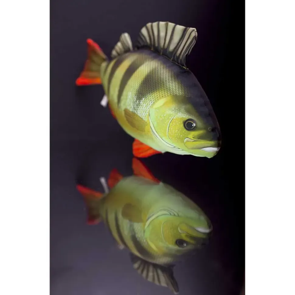 Gaby La Almohada Monstruo Lucioperca