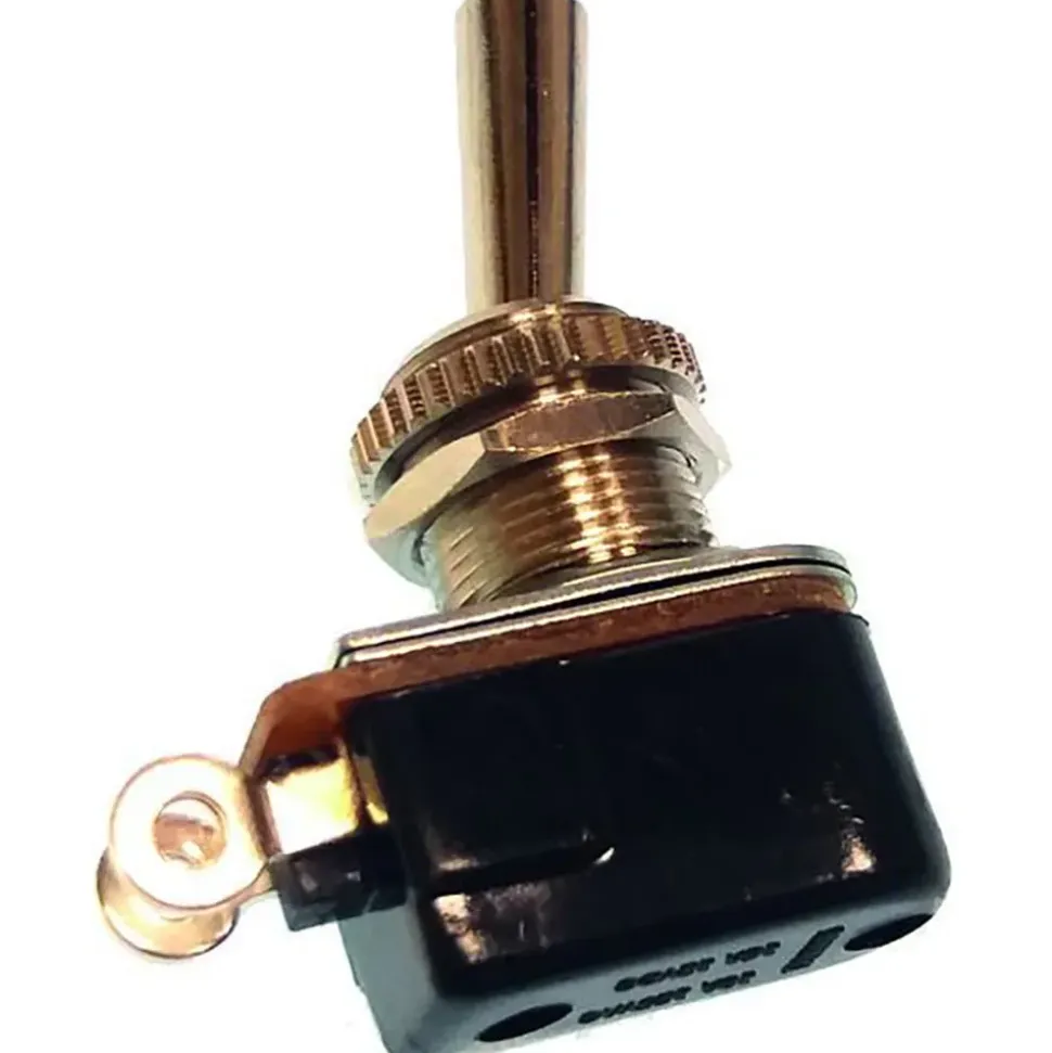 Goldenship Interruptor de palanca 12V