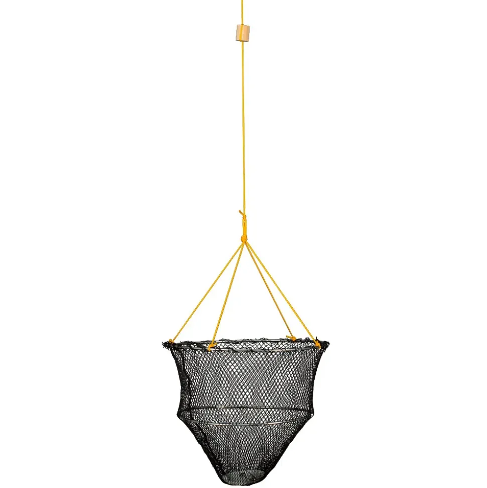 Lineaeffe Cabeza sacadera Oval