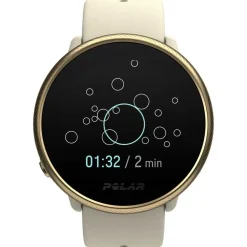 Polar Reloj Ignite 2