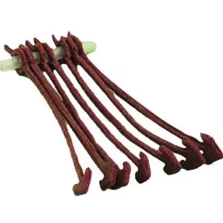 Ragot Banda de viento Rig Anchor