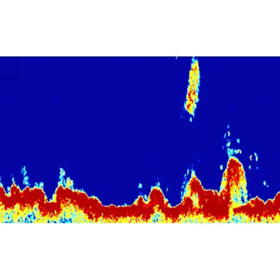 Raymarine Plotter de pesca CP370