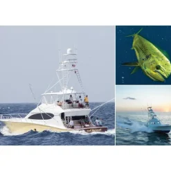Raymarine Plotter de pesca CP370