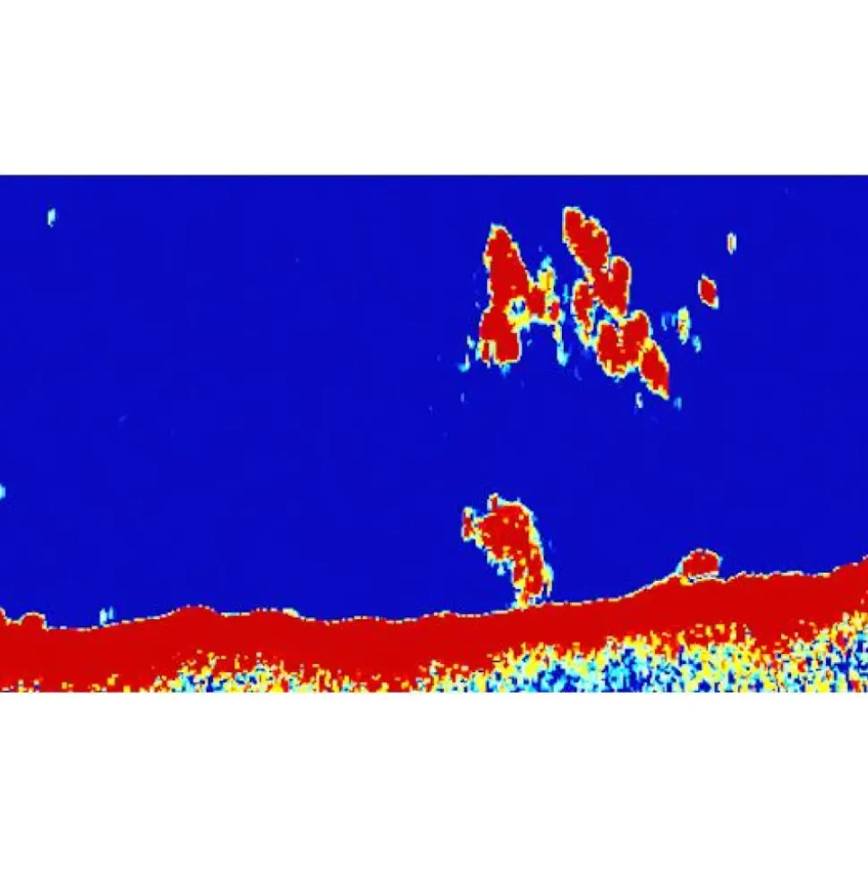 Raymarine Plotter de pesca CP370