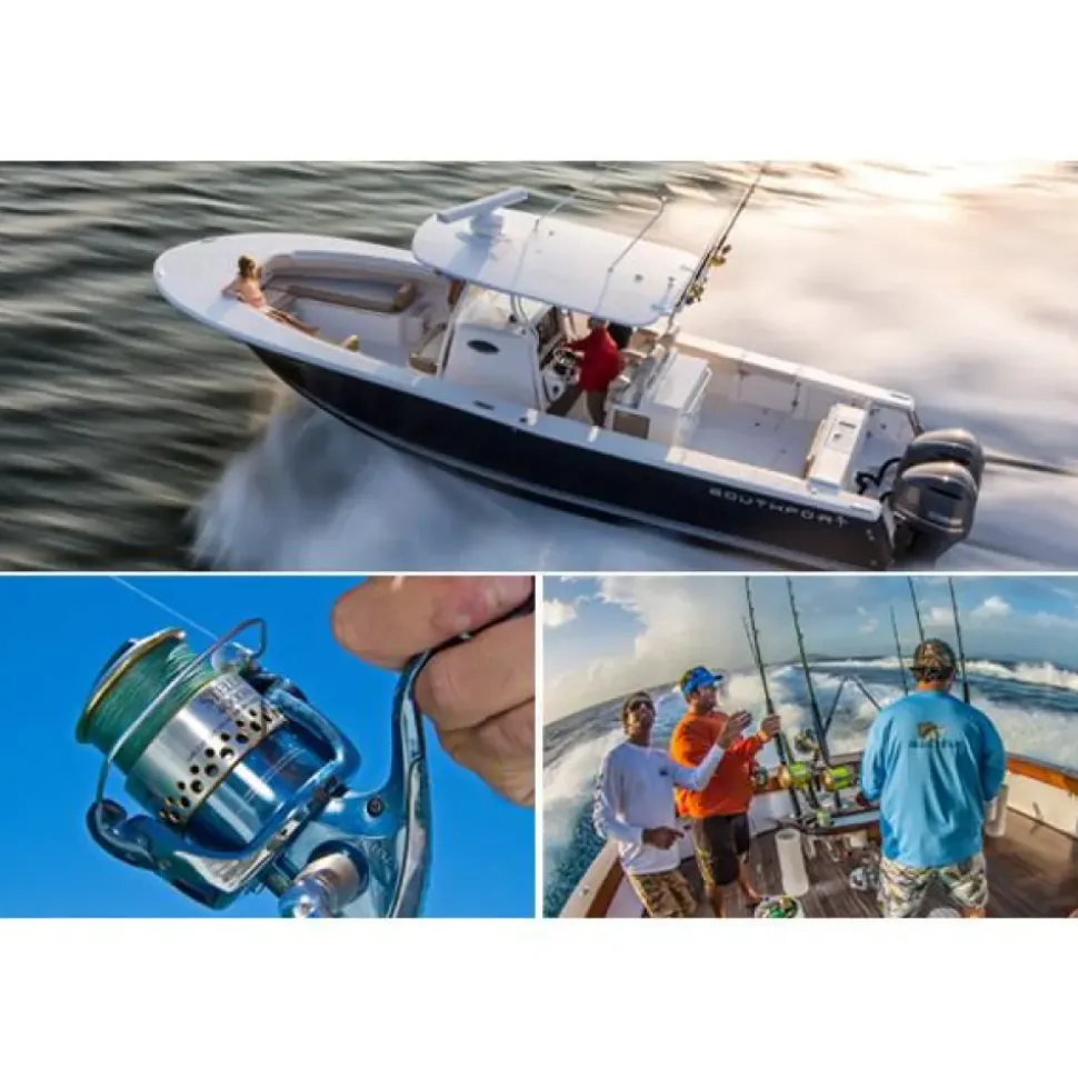 Raymarine Plotter de pesca CP370