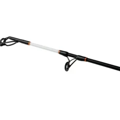 Shimano Fishing Caña siluro Beastmaster AX Static