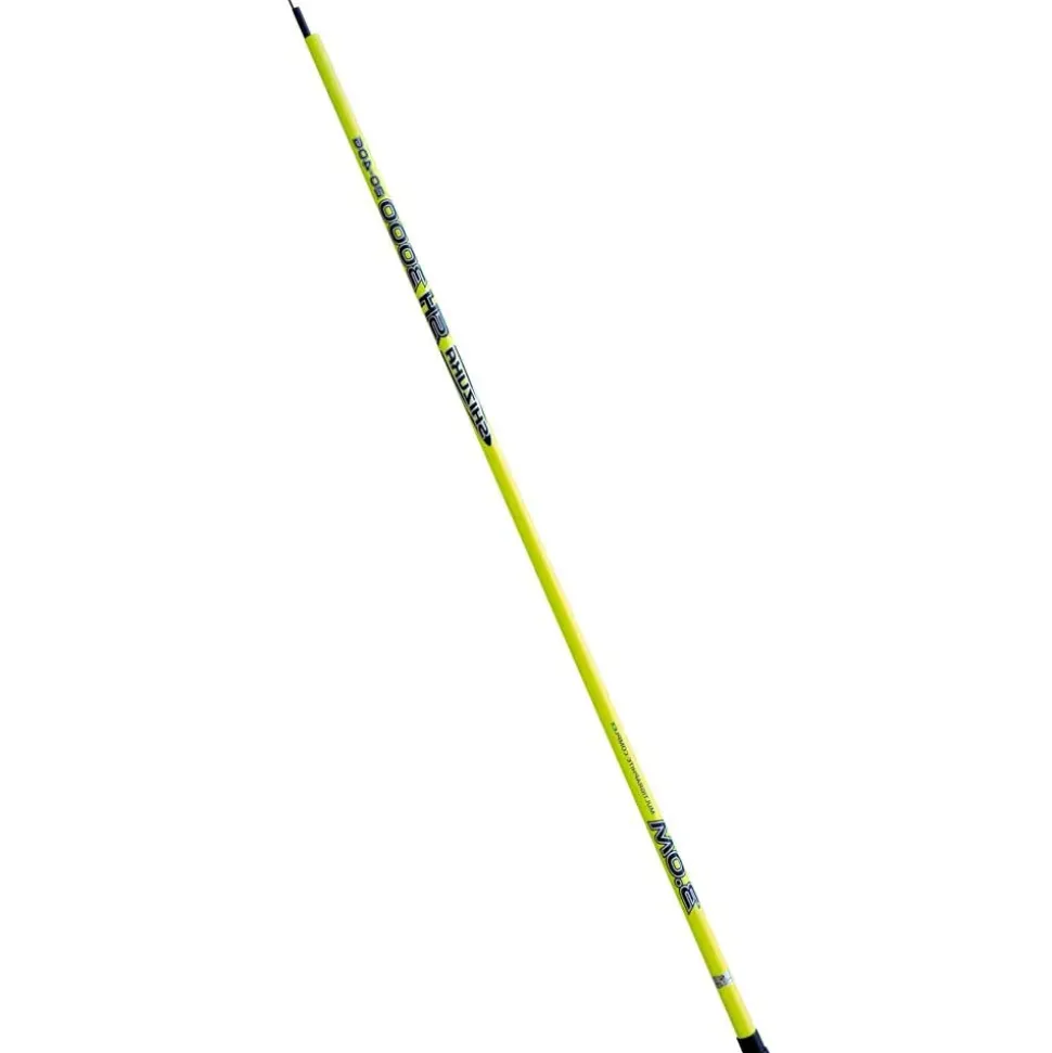Shizuka Caña coup SH3000