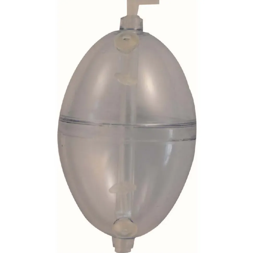 Tortue Buldo Oval Regulable