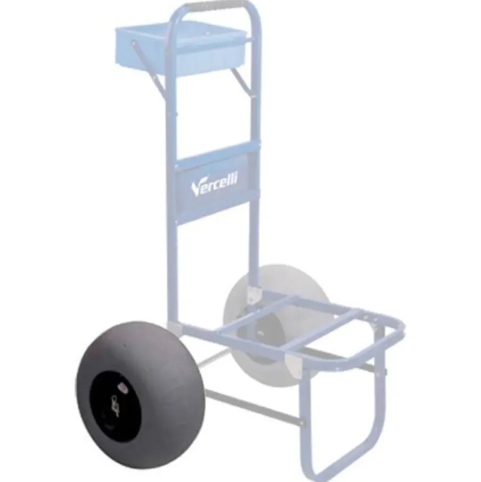 Vercelli Rueda SWS