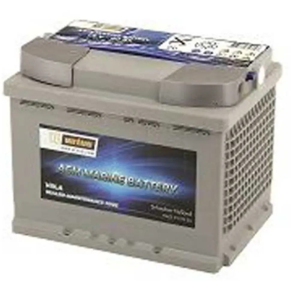 Vetus Batteries Batería AGM 100AH
